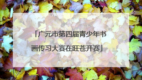 广元市第四届青少年书画传习大赛在旺苍开赛