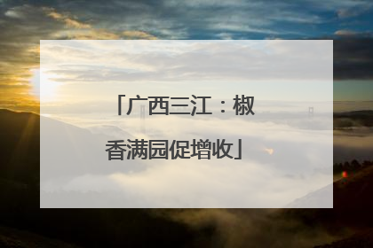 广西三江：椒香满园促增收