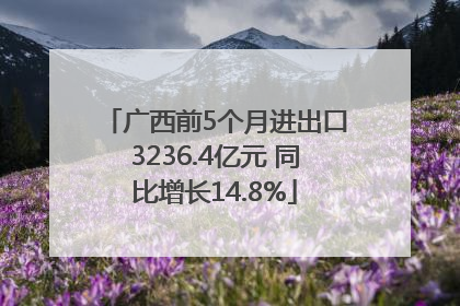 广西前5个月进出口3236.4亿元 同比增长14.8%