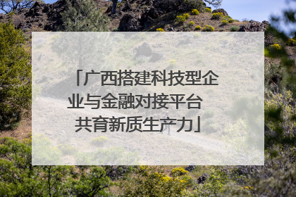 广西搭建科技型企业与金融对接平台 共育新质生产力