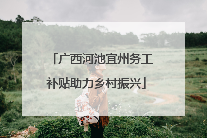 广西河池宜州务工补贴助力乡村振兴