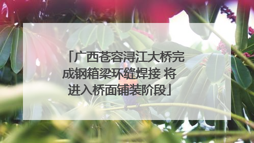 广西苍容浔江大桥完成钢箱梁环缝焊接 将进入桥面铺装阶段