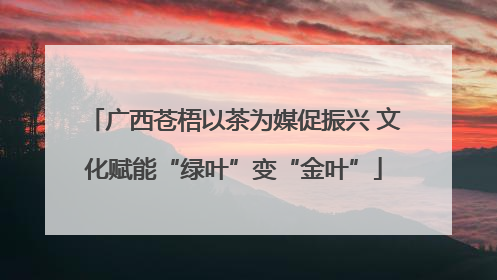 广西苍梧以茶为媒促振兴 文化赋能“绿叶”变“金叶”