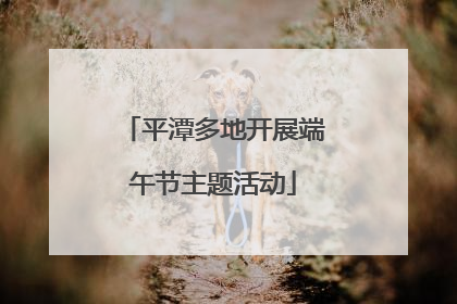 平潭多地开展端午节主题活动
