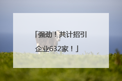 强劲！共计招引企业632家！