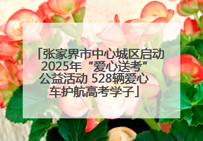 张家界市中心城区启动2025年“爱心送考”公益活动 528辆爱心车护航高考学子