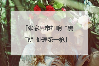 张家界市打响“黑飞”处理第一枪