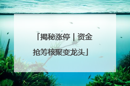 揭秘涨停｜资金抢筹核聚变龙头