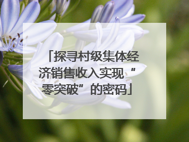 探寻村级集体经济销售收入实现“零突破”的密码