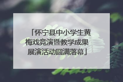 怀宁县中小学生黄梅戏竞演暨教学成果展演活动圆满落幕