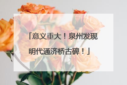 意义重大！泉州发现明代通济桥古碑！