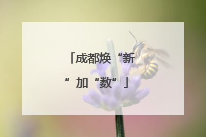 成都焕“新”加“数”