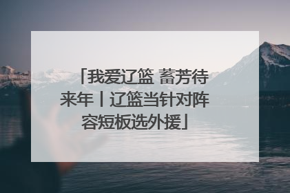 我爱辽篮 蓄芳待来年丨辽篮当针对阵容短板选外援