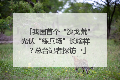 我国首个“沙戈荒”光伏“练兵场”长啥样？总台记者探访→