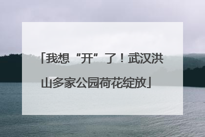 我想“开”了！武汉洪山多家公园荷花绽放