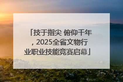 技于指尖 俯仰千年，2025全省文物行业职业技能竞赛启幕