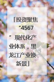 投资聚焦“4567”现代化产业体系，黑龙江产业换新景