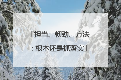 担当、韧劲、方法：根本还是抓落实