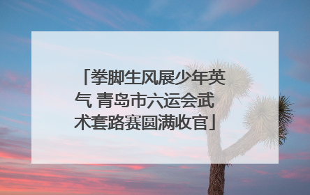 拳脚生风展少年英气 青岛市六运会武术套路赛圆满收官