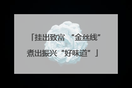 挂出致富 “金丝线” 煮出振兴“好味道”