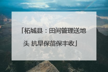 柘城县：田间管理送地头 抗旱保苗保丰收
