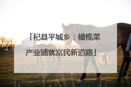 杞县平城乡：橄榄菜产业铺就富民新道路