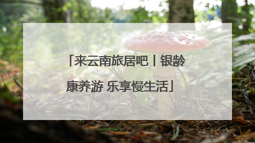 来云南旅居吧丨银龄康养游 乐享慢生活
