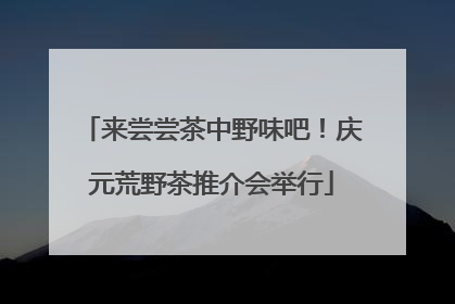 来尝尝茶中野味吧！庆元荒野茶推介会举行