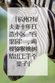 杭州7旬夫妻十年打造小区“百果园”，两棵猕猴桃树结出上千个果子