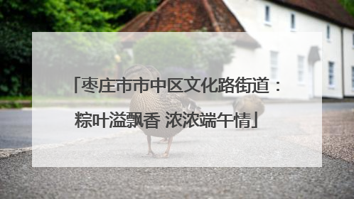 枣庄市市中区文化路街道：粽叶溢飘香 浓浓端午情
