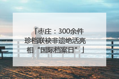 枣庄：300余件珍档联袂非遗绝活亮相“国际档案日”