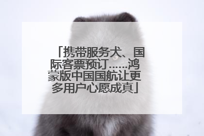 携带服务犬、国际客票预订……鸿蒙版中国国航让更多用户心愿成真
