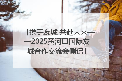 携手友城 共赴未来——2025黄河口国际友城合作交流会侧记