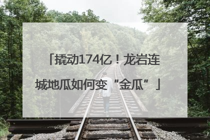 撬动174亿！龙岩连城地瓜如何变“金瓜”