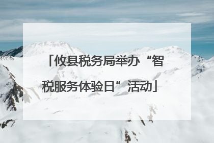 攸县税务局举办“智税服务体验日”活动