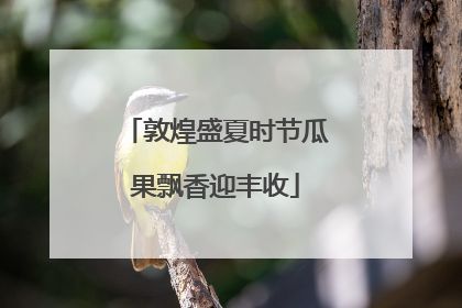 敦煌盛夏时节瓜果飘香迎丰收