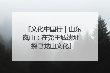 文化中国行｜山东岚山：在尧王城遗址探寻龙山文化