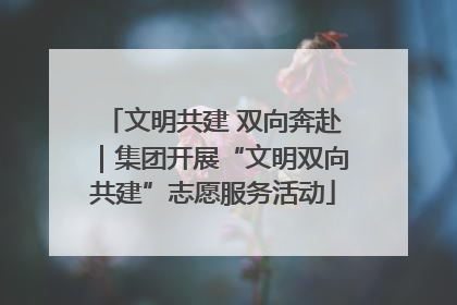 文明共建 双向奔赴｜集团开展“文明双向共建”志愿服务活动