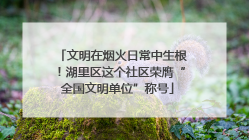 文明在烟火日常中生根！湖里区这个社区荣膺“全国文明单位”称号