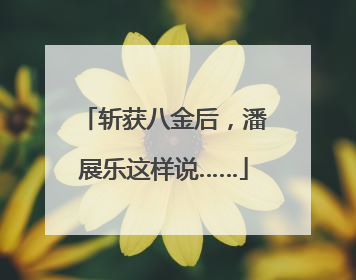 斩获八金后，潘展乐这样说……