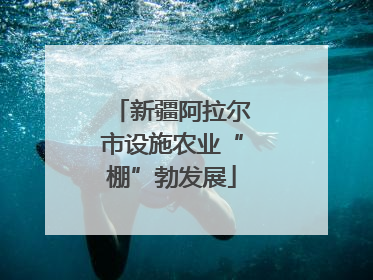 新疆阿拉尔市设施农业“棚”勃发展