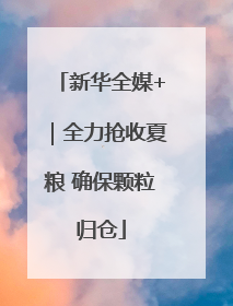新华全媒+｜全力抢收夏粮 确保颗粒归仓