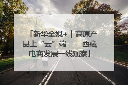 新华全媒+｜高原产品上“云”端——西藏电商发展一线观察