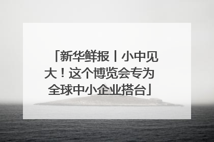 新华鲜报丨小中见大！这个博览会专为全球中小企业搭台