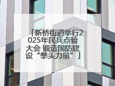 新桥街道举行2025年民兵点验大会 锻造国防建设“拳头力量”