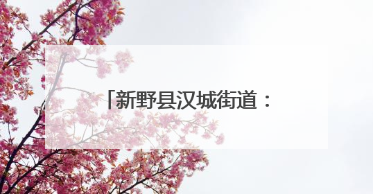 新野县汉城街道：玩具电商“引擎”激活发展新动力