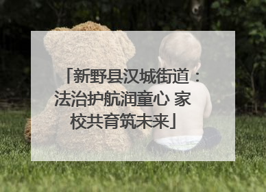 新野县汉城街道：法治护航润童心 家校共育筑未来