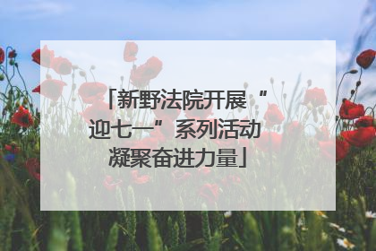 新野法院开展“迎七一”系列活动 凝聚奋进力量