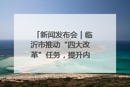 新闻发布会｜临沂市推动“四大改革”任务，提升内部审计监督效能