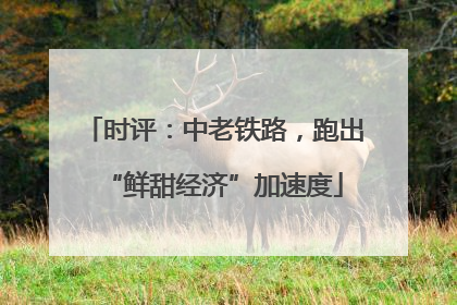 时评：中老铁路，跑出“鲜甜经济”加速度